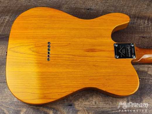 Swamp Ash Butterscotch SD Zebra SH-1N